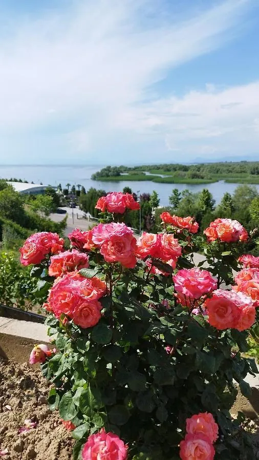 Welcome Guest House Shkodër Albanië